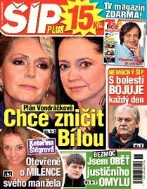Obálka e-magazínu Magazín Šíp 11/2012