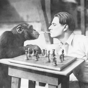 Obálka uvítací melodie Gambit