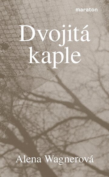 Obálka knihy Dvojitá kaple
