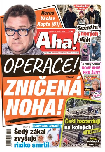 Obálka e-magazínu AHA! 31.8.2026