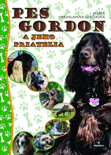 Obálka knihy Pes Gordon a jeho priatelia