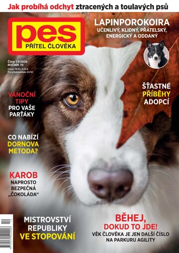 Obálka e-magazínu Pes přítel člověka 12/2025