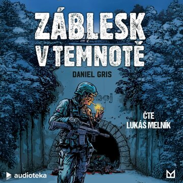 Obálka audioknihy Záblesk v temnotě