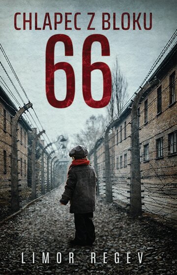 Obálka knihy Chlapec z bloku 66