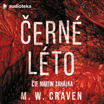 Obálka audioknihy Černé léto
