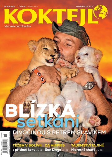 Obálka e-magazínu Koktejl 10/2015