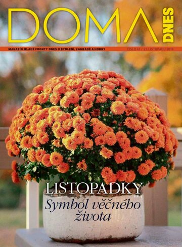 Obálka e-magazínu Doma DNES 21.11.2018