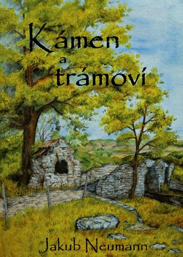 Obálka knihy Kámen a trámoví