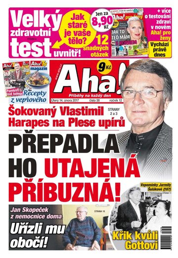 Obálka e-magazínu AHA! 14.2.2017