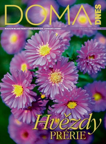 Obálka e-magazínu Doma DNES 10.10.2018