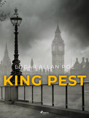 Obálka knihy King Pest