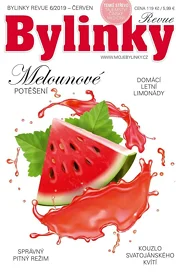 Bylinky 6