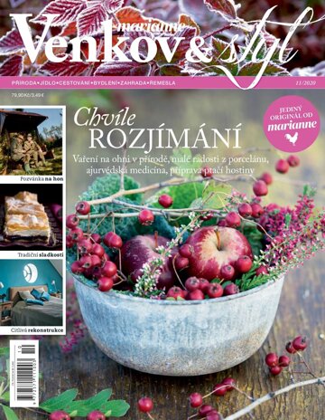 Obálka e-magazínu Venkov a Styl 11/2020