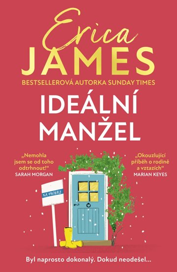 Obálka knihy Ideální manžel
