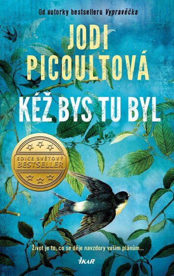 Obálka knihy Kéž bys tu byl