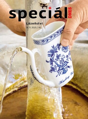 Obálka e-magazínu Magazín DNES SPECIÁL Vysočina - 14.11.2025