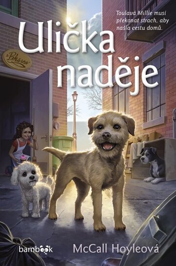 Obálka knihy Ulička naděje