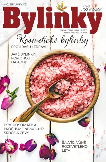 Obálka e-magazínu Bylinky 2/22