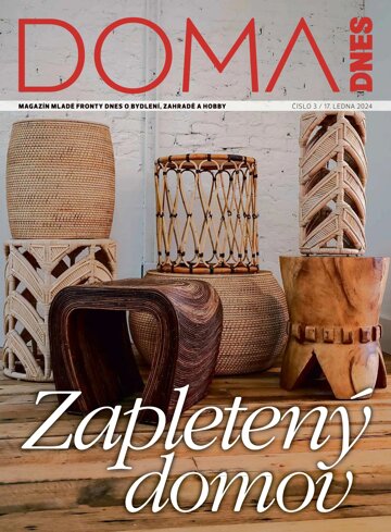 Obálka e-magazínu Doma DNES 17.1.2024