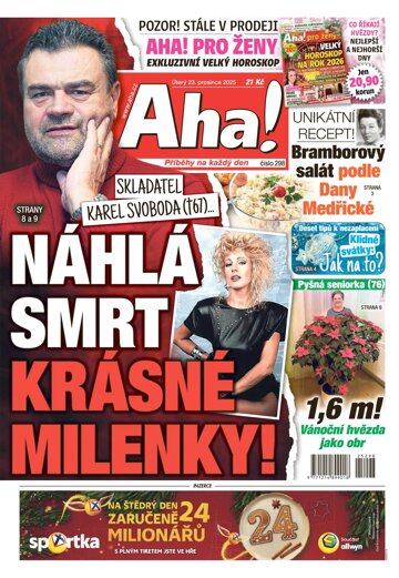 Obálka e-magazínu AHA! 23.12.2025