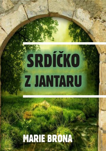 Obálka knihy Srdíčko z jantaru