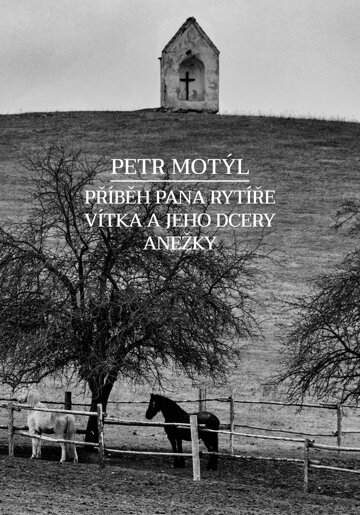 Obálka knihy Příběh pana rytíře Vítka a jeho dcery Anežky
