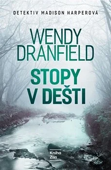 Obálka knihy Stopy v dešti