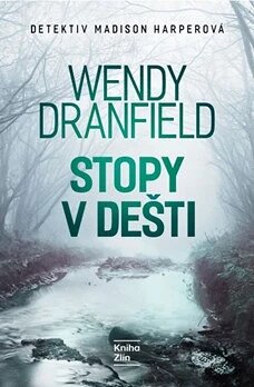 Obálka knihy Stopy v dešti