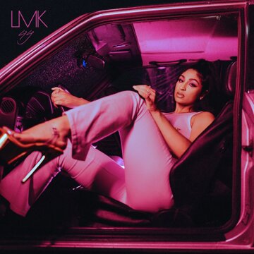 Obálka uvítací melodie LMK