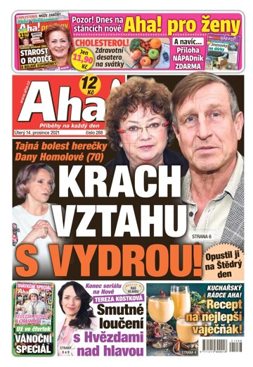Obálka e-magazínu AHA! 14.12.2021