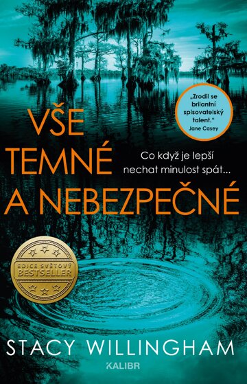 Obálka knihy Vše temné a nebezpečné