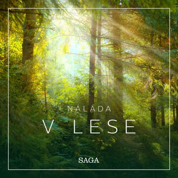 Nálada – V lese