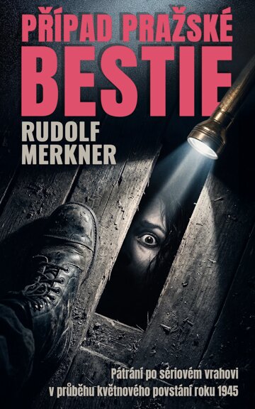 Obálka knihy Případ pražské bestie