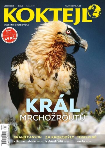 Obálka e-magazínu Koktejl 2015 leden