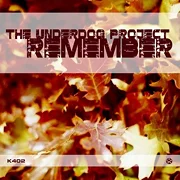 Remember (Instrumental Mix)