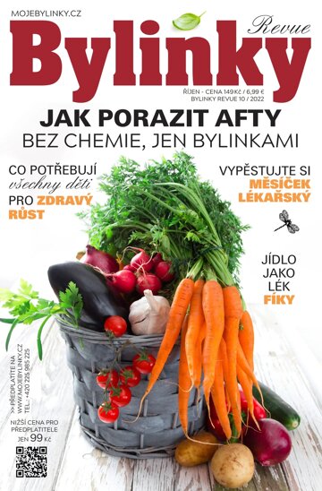 Obálka e-magazínu Bylinky 10/2022
