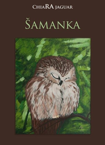 Obálka knihy Šamanka