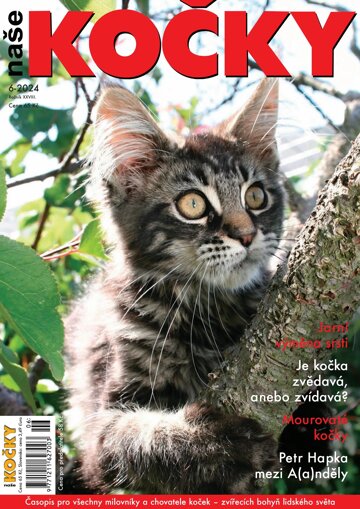 Obálka e-magazínu Naše kočky 6/2024