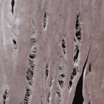 Obálka uvítací melodie Torn