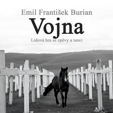 Obálka audioknihy Vojna