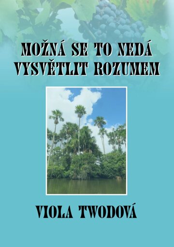 Obálka knihy Možná se to nedá vysvětlit rozumem