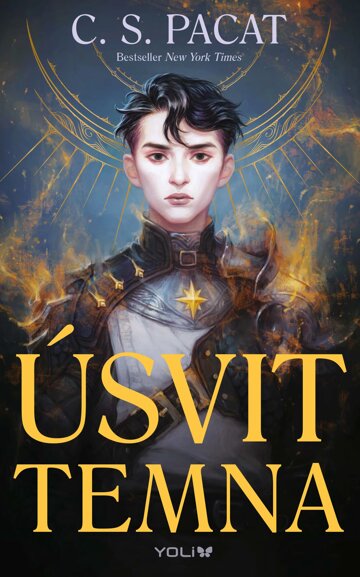 Obálka knihy Úsvit temna 1: Úsvit temna