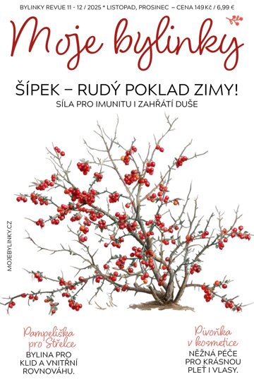 Obálka e-magazínu Bylinky 11-12/2025