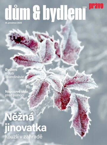 Obálka e-magazínu Dům & bydlení 31.12.2025