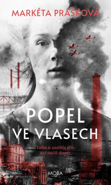 Obálka knihy Popel ve vlasech