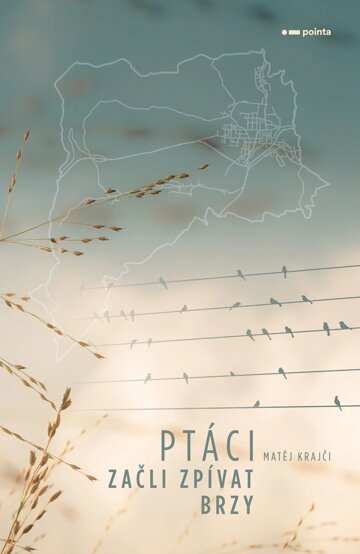 Obálka knihy Ptáci začli zpívat brzy
