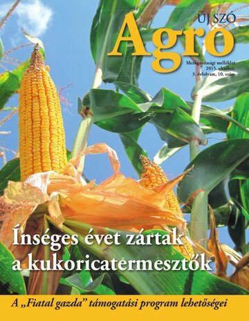 Obálka e-magazínu Új Szó príloha 29.10.2015