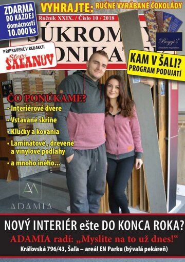 Obálka e-magazínu Súkromný podnikateľ 10/2018