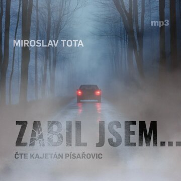 Obálka audioknihy Zabil jsem…