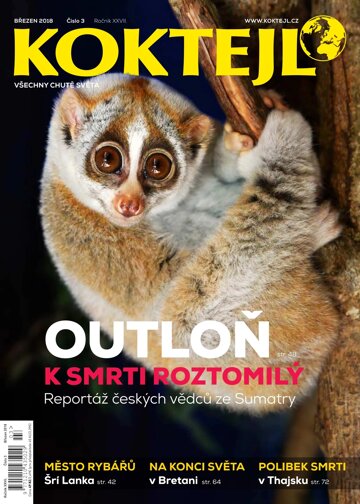 Obálka e-magazínu Koktejl 3/2018